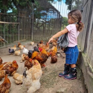 Fun for the little ones!  Your children will experience a great connection with nature.

Diversión para los más pequeños! Podran compartir con las bellezas que nos brinda la naturaleza.