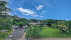 The Honolulu zoo is just across the street