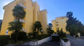 Picture 3