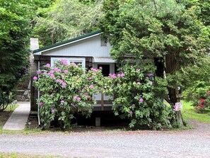 front of cottage