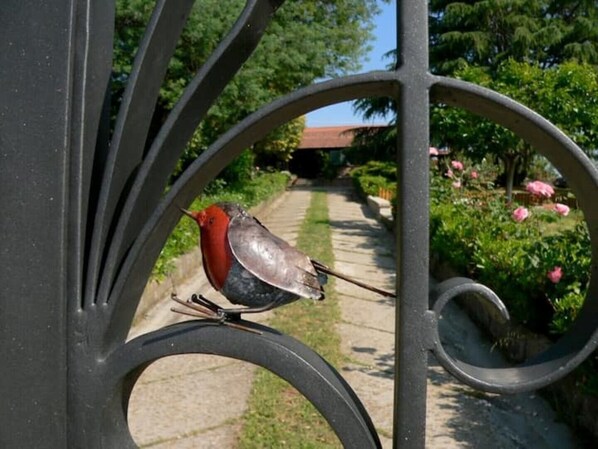 Außendetails
