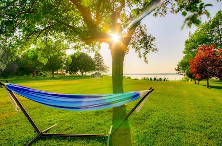 Hammock under the apple tree (1)