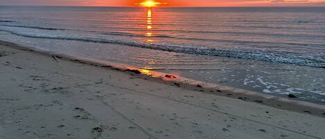 Sunset Strolls on our neighborhood beach 