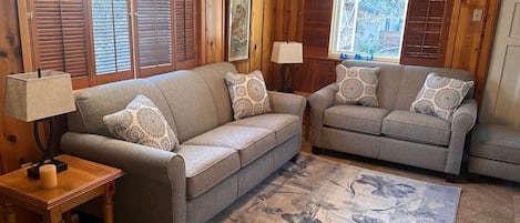 Living Room with pull out queen sofa bed