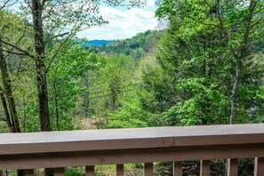 View from Front Porch