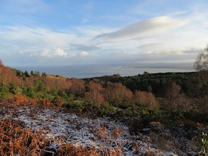 View over adjacent regenerating native woodland