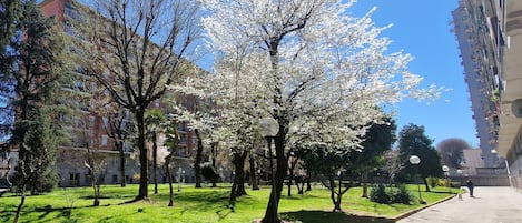 Εξωτερικός χώρος καταλύματος