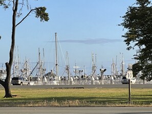 Harbor