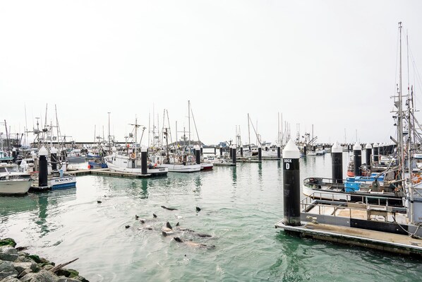 Marina