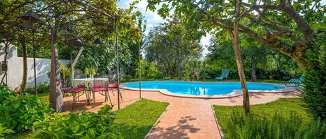Plant, Water, Swimming Pool, Sky, Shade, Tree, Outdoor Furniture, Arecales, Leisure, Landscape