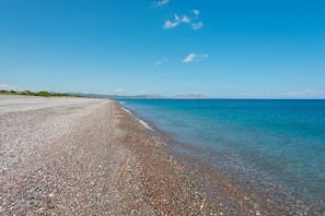 Ranta
