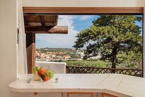 Balcony / Terrace / Patio, Scenic View
