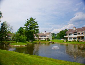 Eksteriør