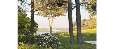 View Waquoit Bay and Washburn Island from the deck