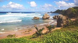 Surfing Break at Bathsheba