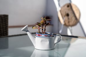 Innendetails