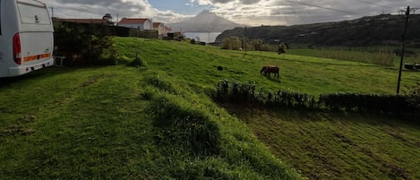 Overnatningsstedets område