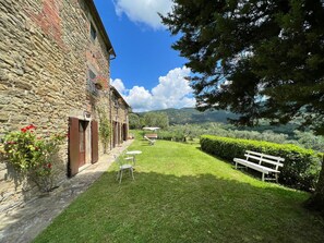 Garden and outdoor view