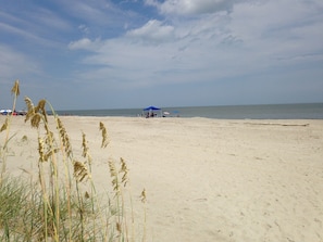 Lifeguards on the beach during season with chair rentals and umbrellas