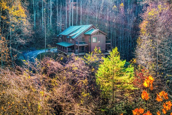 Nestled among the trees, Grillin Bear Lodge offers a peaceful retreat bathed in the soft, filtered sunlight- nature's perfect getaway.