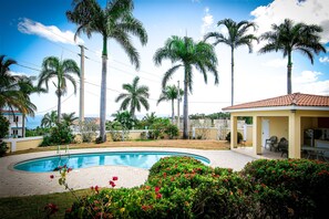 Pool/gazebo view