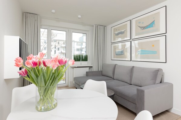 Comfortable, fold-out sofa in the living room. 