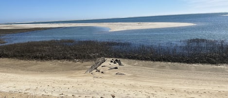 View from beach with sandbar you can enjoy with paths or walk to at low tide