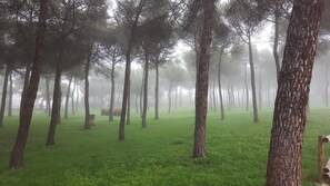 Parco della struttura