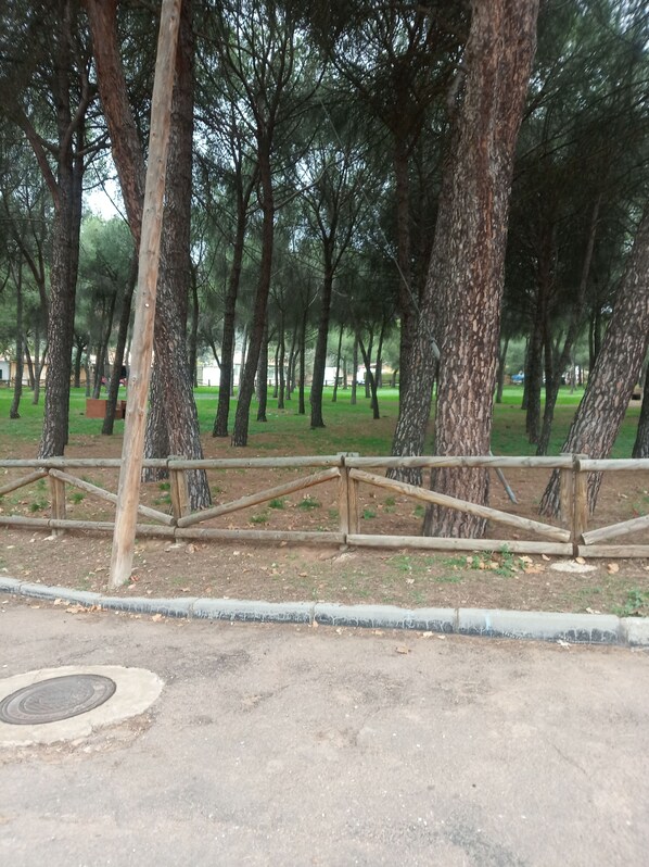 Parco della struttura