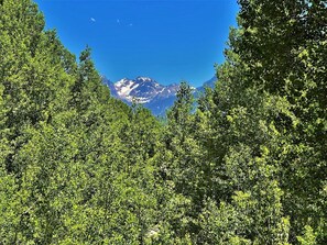 Views from the Deck and Living Room