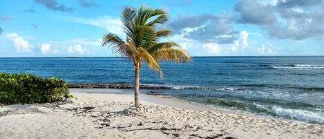 Private Beach View