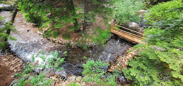 River view from the deck 