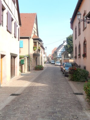 Exteriör