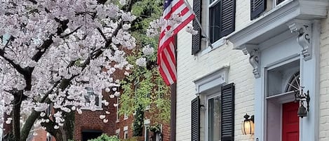 Springtime in Old Town