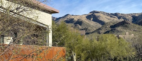 Guesthouse against Catalina Mountains
