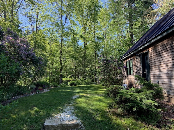 Front yard