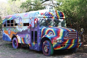 bus hidden in woods