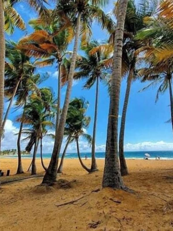 Strand