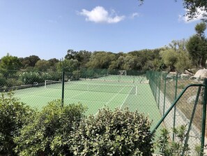 Sport court