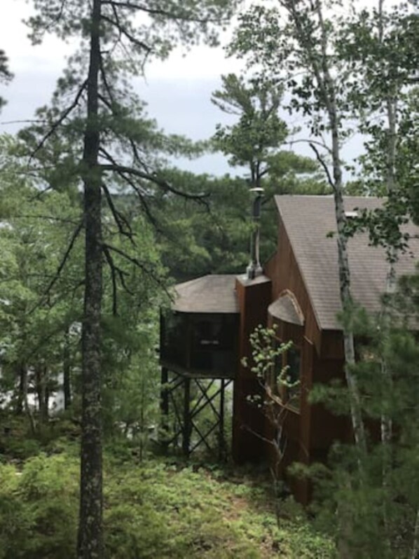 Treetops sunroom
