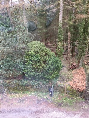 View from back window