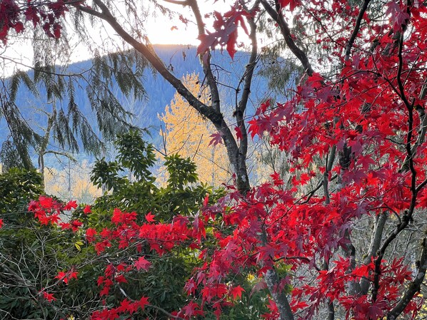 Beautiful fall leaves frame Huckleberry Mt that offers great hiking and views.