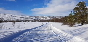 Skidåkning och snöaktiviteter