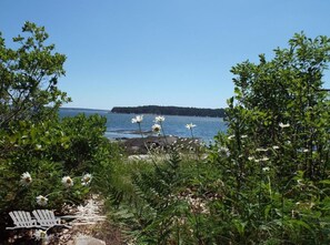 A typical lovely day at Oak Point