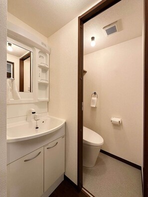 Vanity sink