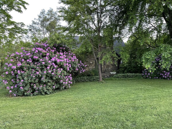Manicured gardens with native botanicals
