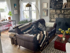 Comfortable furniture & pet friendly