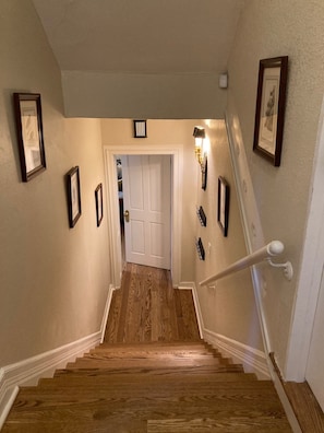 Layout of the apartment from front door Foyer into central Hallway - note steps!