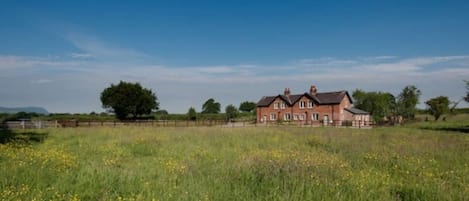 Fox and Hare Cottage - where your only neighbours are horses and cattle