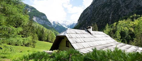 Terrain de l’hébergement 